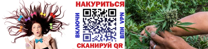 Виды наркотиков купить Курган СК omg КОКАИН МЕФ ГАШ Конопля