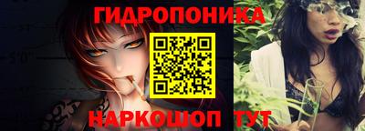 гашик Гуково