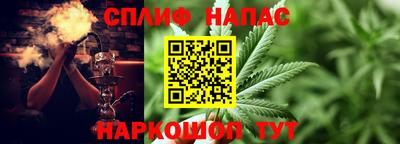 гашик Гуково