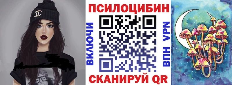 Псилоцибиновые грибы Cubensis  хочу наркоту  Курган 