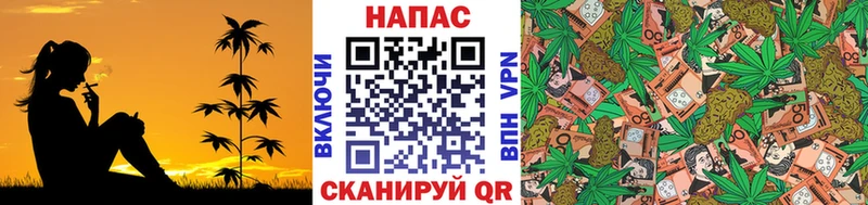 где можно купить наркотик  hydra ONION  Бошки марихуана SATIVA & INDICA  Курган 